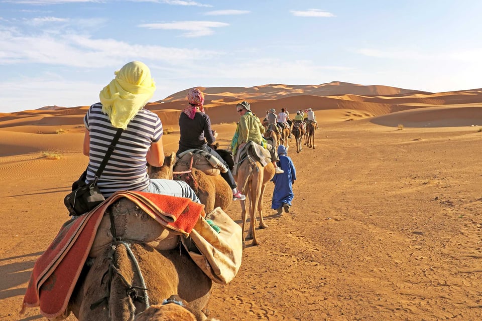 Safari à dos de chameau au Maroc
