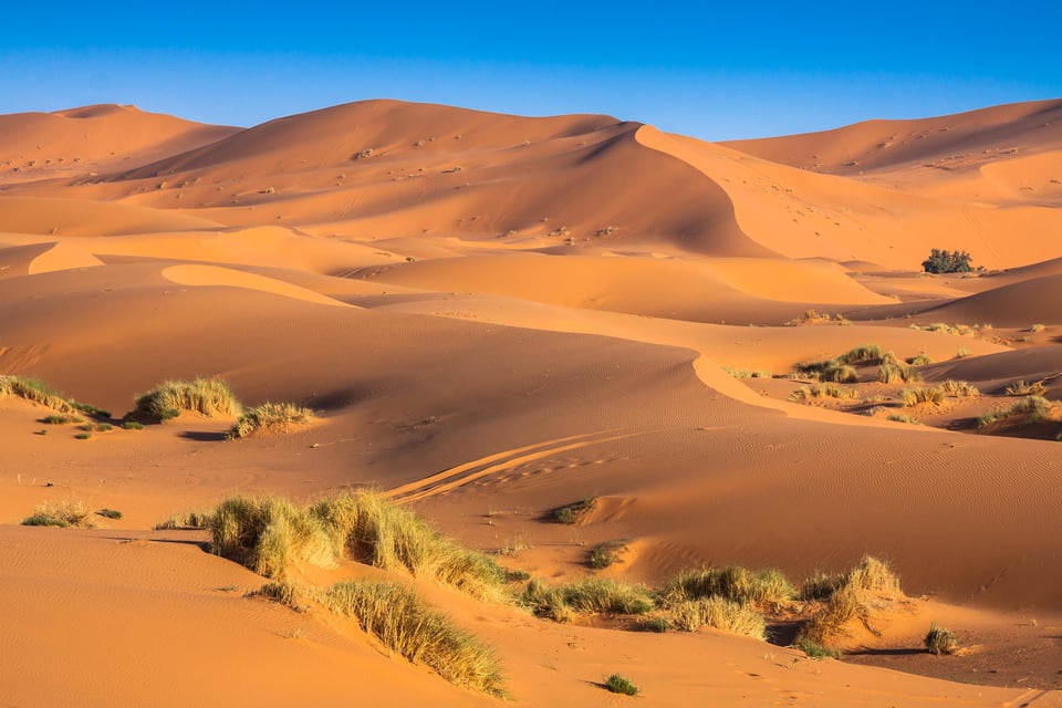 Le désert du Sahara