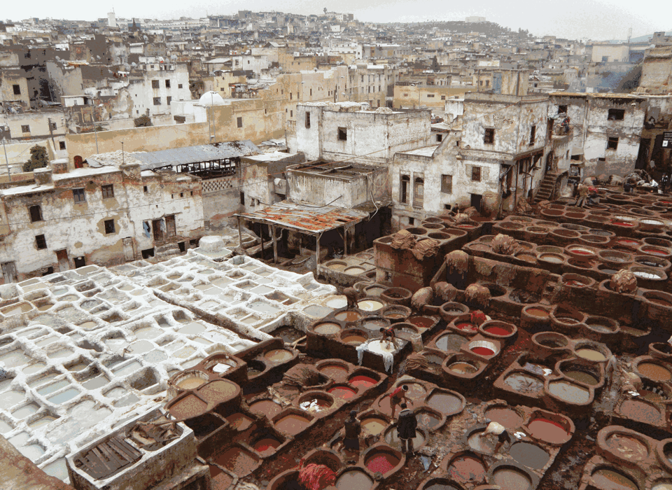 The Oldest Medina, Fez