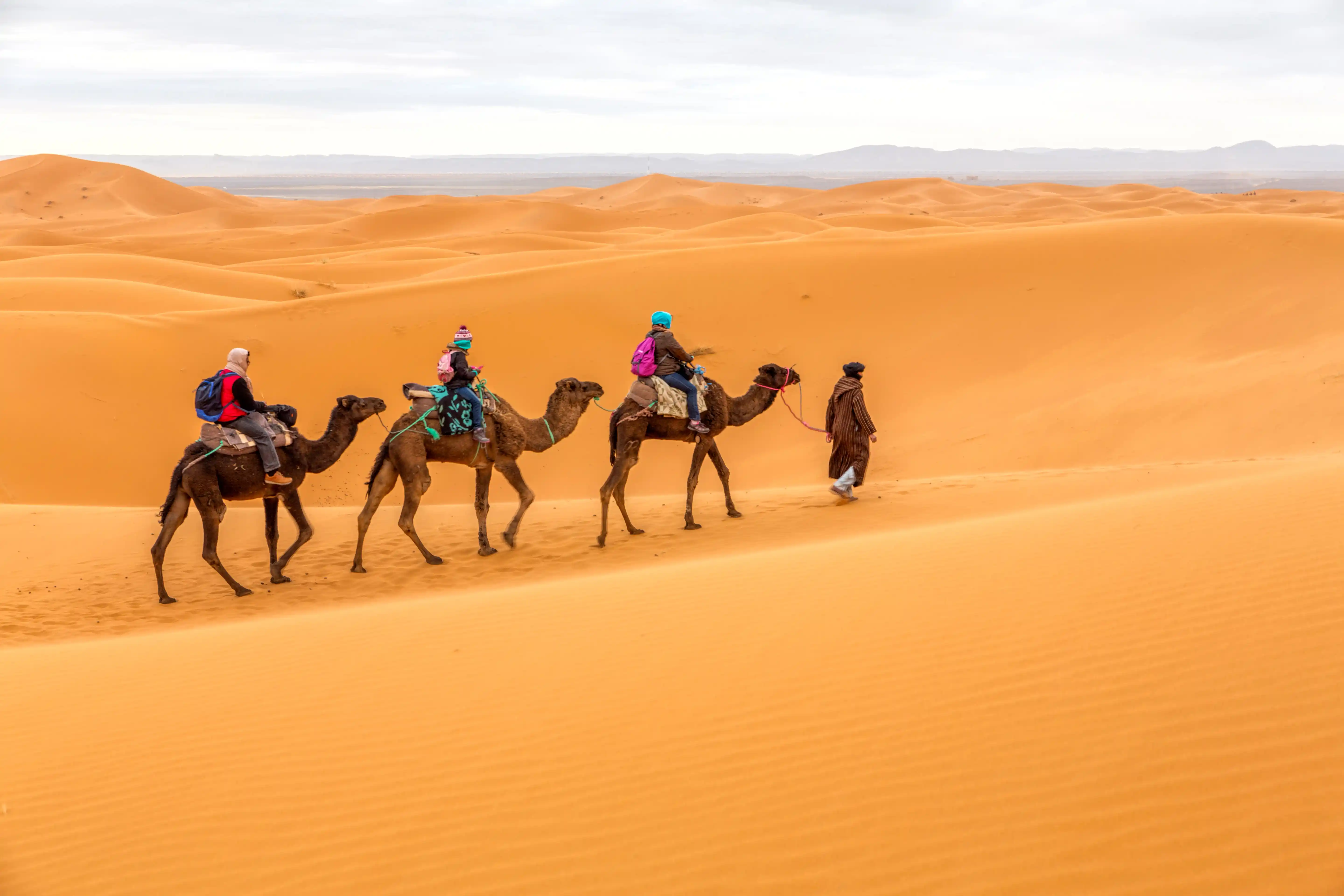 Morocco eVisa Application Completed in Minutes!